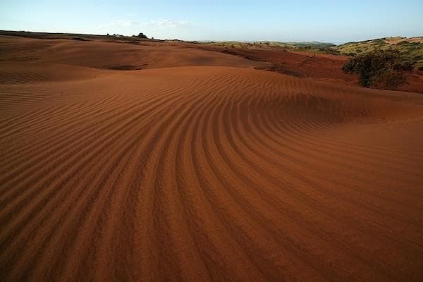 Dunes de sable ocre ridées par le vent