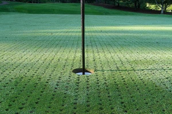 Green de golf aéré par carottage, autour du drapeau