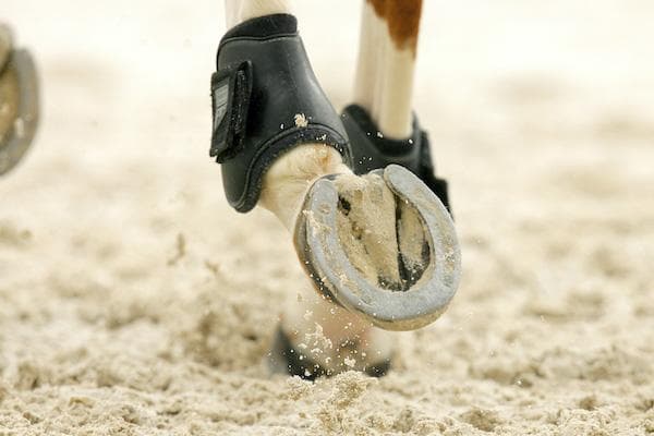 Sabot ferré d'un cheval dans le sable d'une carrière